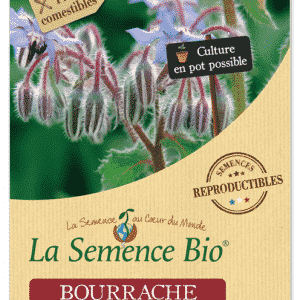 Graines Bourrache officinale bio - La semence bio 1