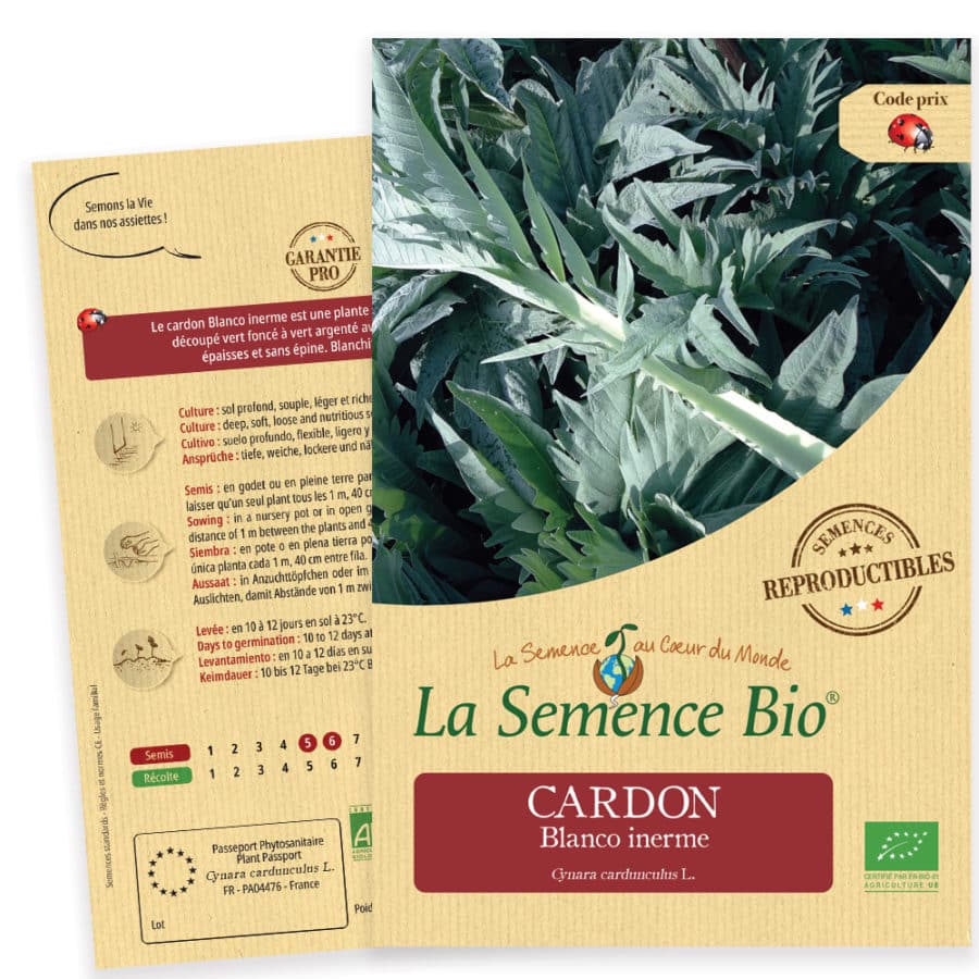 Graines Cardon blanco inerne bio - La semence bio 1