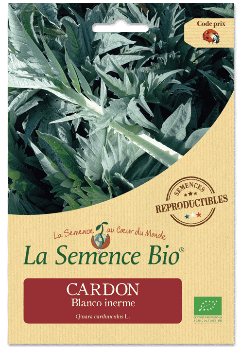 Graines Cardon blanco inerne bio – La semence bio