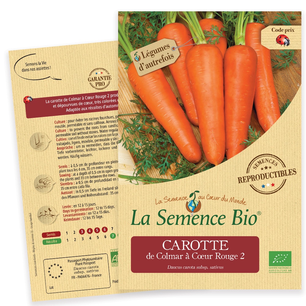 Graines Carotte de Colmar à Cœur Rouge Bio – La semence bio 1