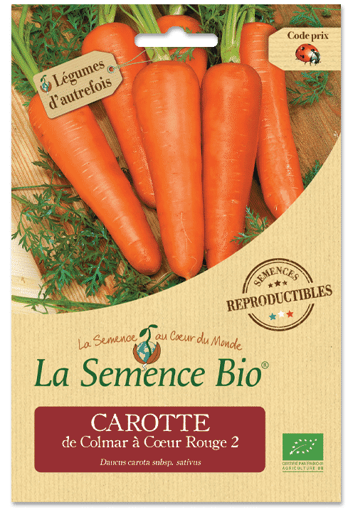 Graines Carotte de Colmar à Cœur Rouge Bio – La semence bio