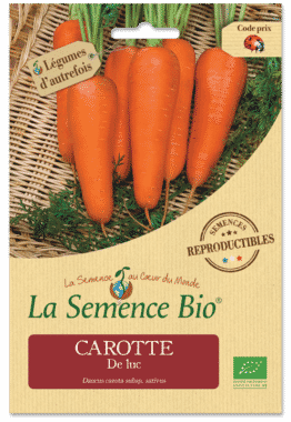 Graines Carotte De luc bio - La semence bio 1