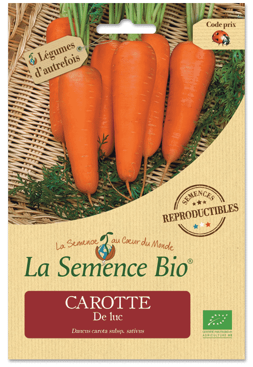 Graines Carotte De luc bio – La semence bio 1