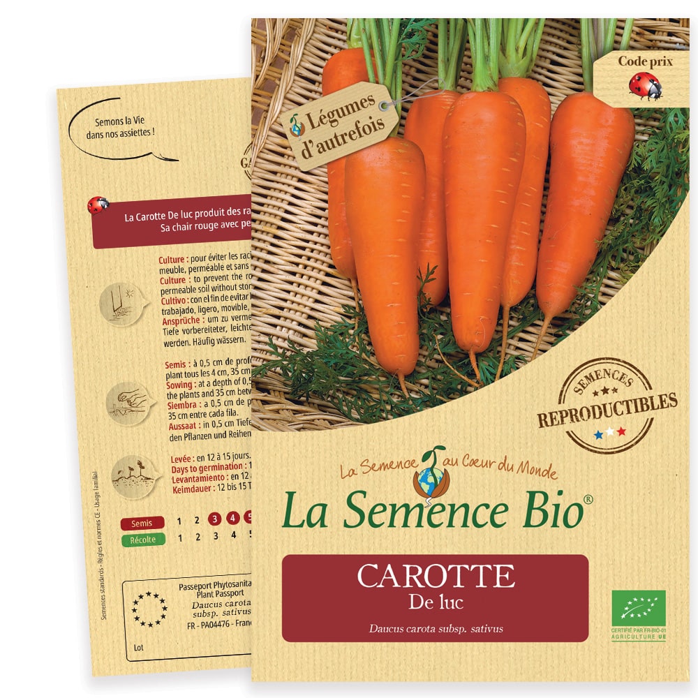 Graines Carotte De luc bio – La semence bio