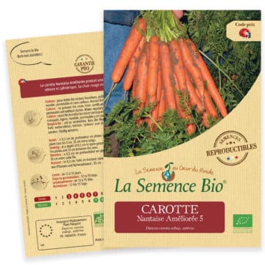 Graines Carotte Nantaise Améliorée 5 Bio - La semence bio 1