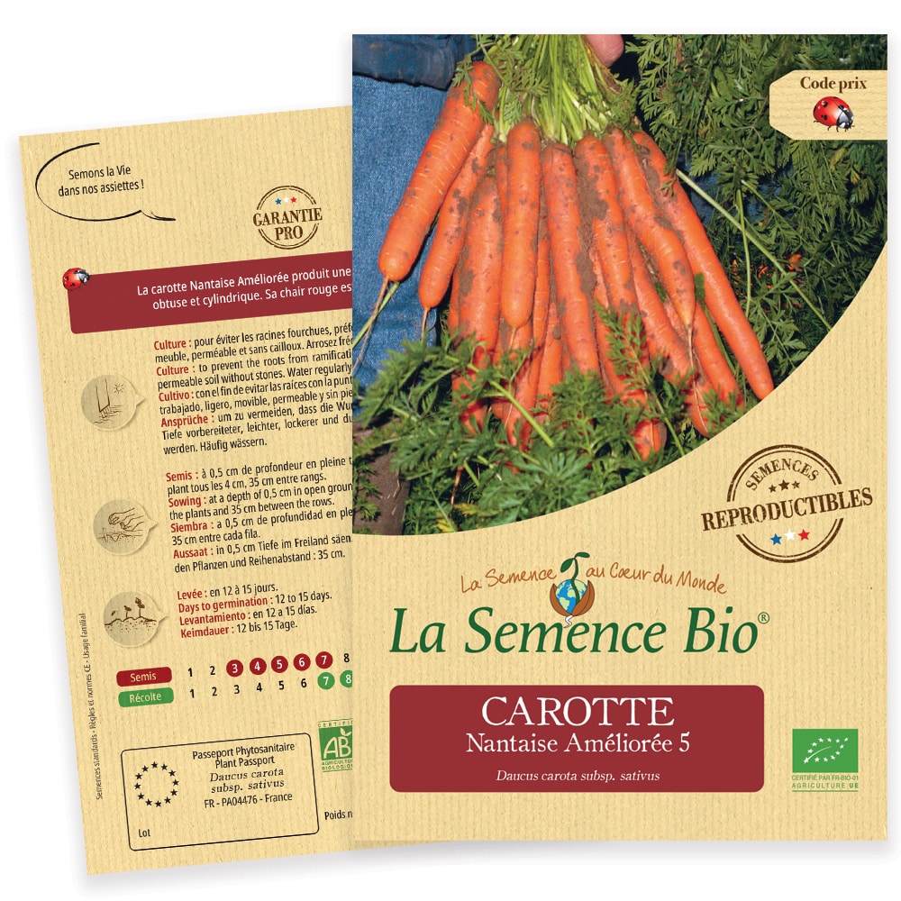 Graines Carotte Nantaise Améliorée 5 Bio – La semence bio 1