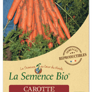 Graines Carotte Nantaise Améliorée 5 Bio - La semence bio