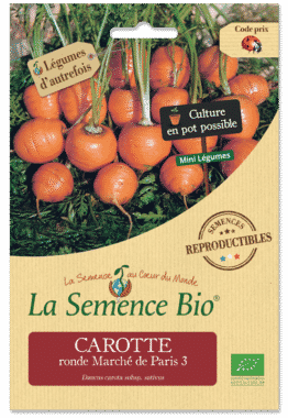 Graines Carotte ronde marché de Paris 3 bio - La semence bio