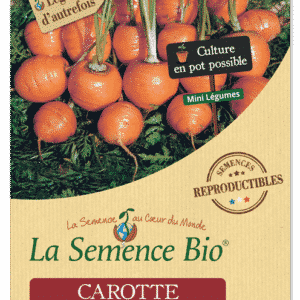 Graines Carotte ronde marché de Paris 3 bio - La semence bio