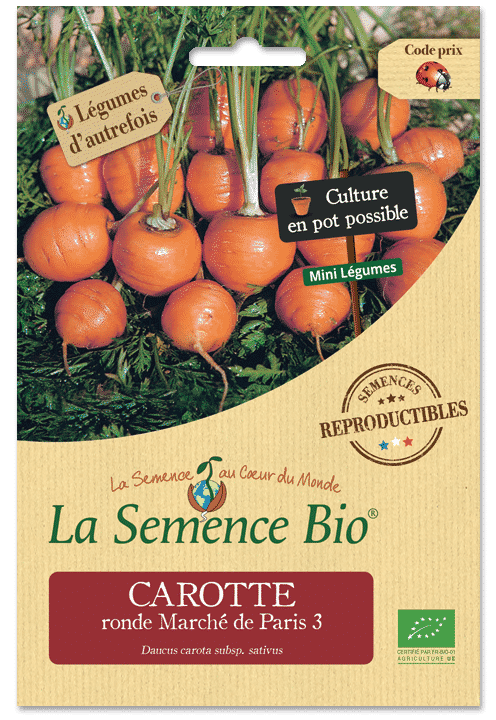 Graines Carotte ronde marché de Paris 3 bio – La semence bio