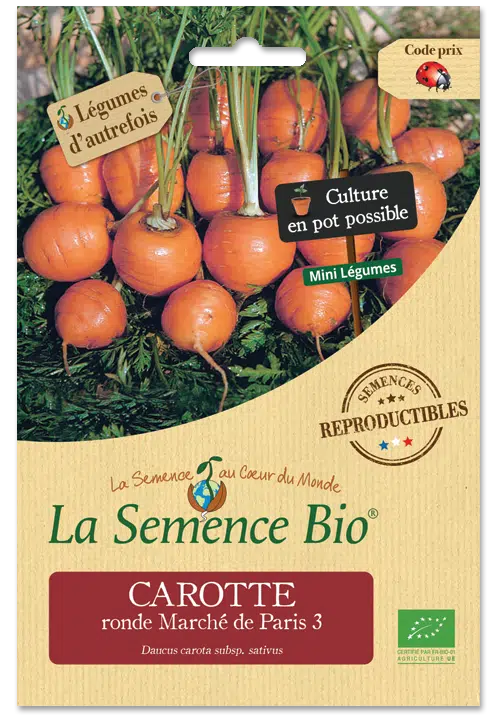 Graines Carotte ronde marché de Paris 3 bio – La semence bio