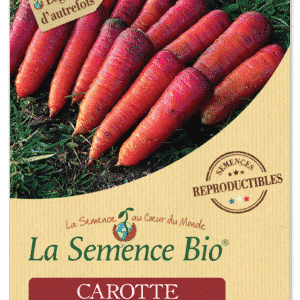 Graines Carotte rouge sang bio - La semence bio 1