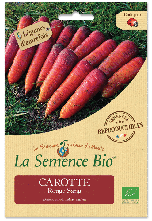 Graines Carotte rouge sang bio – La semence bio 1