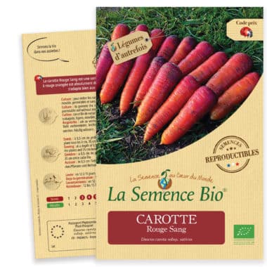 Graines Carotte rouge sang bio - La semence bio