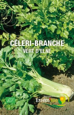 Graines Céleri branche vert d'Elne bio - Essembio