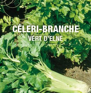 Graines Céleri branche vert d'Elne bio - Essembio