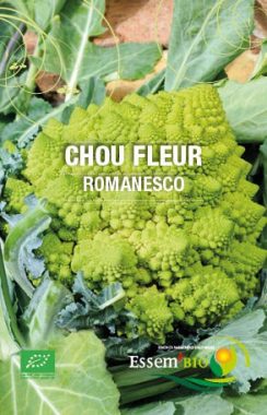 Graines Chou-fleur Romanesko bio - Essembio
