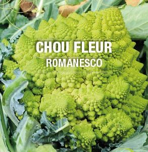Graines Chou-fleur Romanesko bio - Essembio