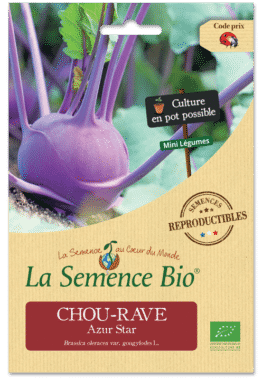 Graines Chou rave Azur Star Bio - La semence bio