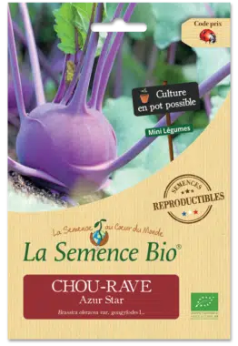 Graines Chou rave Azur Star Bio - La semence bio