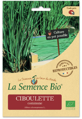 Graines Ciboulette commune bio - La semence bio