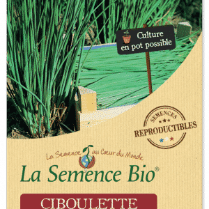Graines Ciboulette commune bio - La semence bio