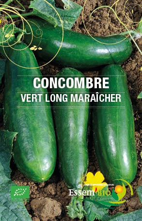 Graines Concombre vert long maraicher bio - Essembio