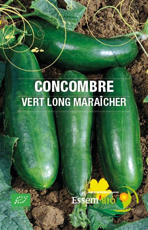 Graines Concombre vert long maraicher bio – Essembio