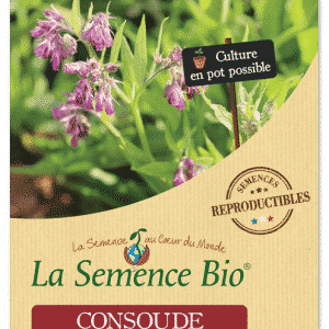 Graines Consoude officinale bio - La semence bio