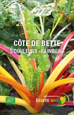 Graines Côte de bette Rainbow bio - Essembio