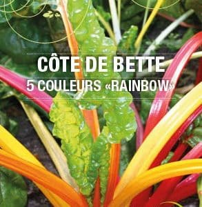 Graines Côte de bette Rainbow bio - Essembio