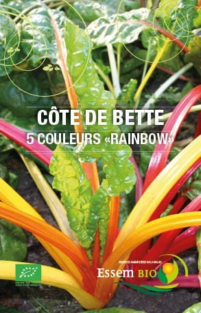 Graines Côte de bette Rainbow bio - Essembio