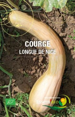 Graines Courge longue de Nice bio - Essembio