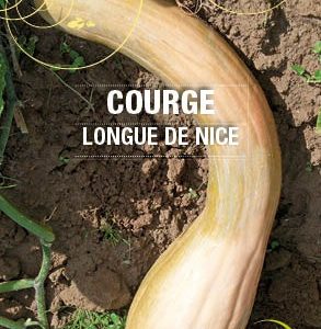 Graines Courge longue de Nice bio - Essembio