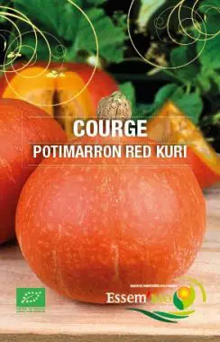 Graines Courge Potimarron Red Kury bio - Essembio