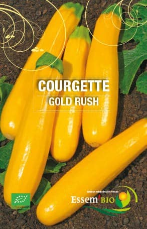 Graines Courgette Gold Rush bio - Essembio
