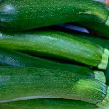 Graines Courgette verte de Milan bio (Black Beauty) - Kokopelli