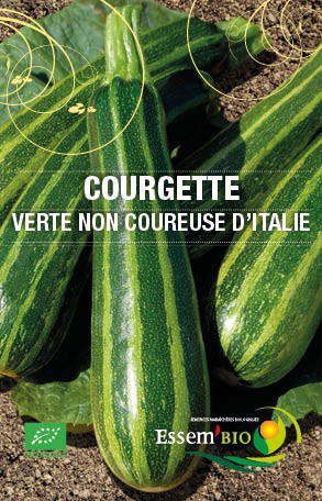 Graines Courgette verte non coureuse d'Italie bio - Essembio