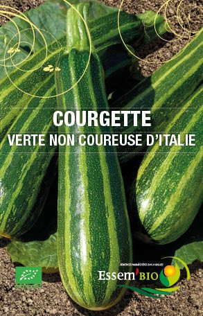 Graines Courgette verte non coureuse d’Italie bio – Essembio