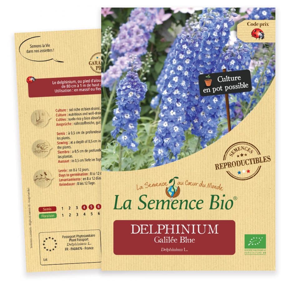 Graines DELPHINIUM Galilée Blue Bio - La semence bio 1