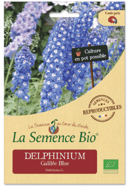 Graines DELPHINIUM Galilée Blue Bio - La semence bio