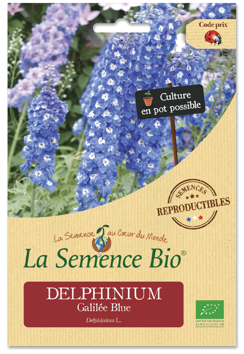 Graines DELPHINIUM Galilée Blue Bio – La semence bio