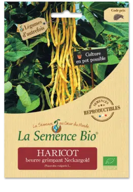 Graines Haricot beurre grimpant Neckargold Bio - La semence bio