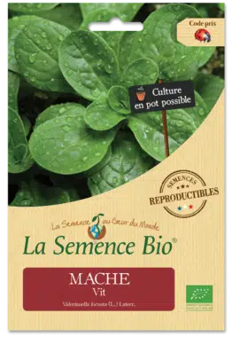 Graines Mâche Vit Bio - La semence bio