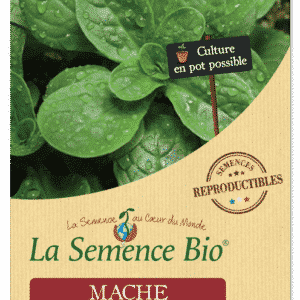 Graines Mâche Vit Bio - La semence bio