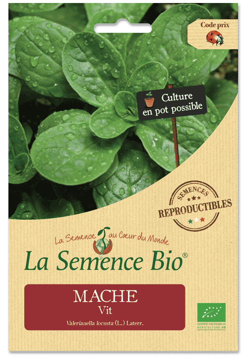 Graines Mâche Vit Bio – La semence bio