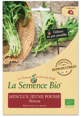 Graines Mesclun jeune pousse Mizuna Bio - La semence bio 1