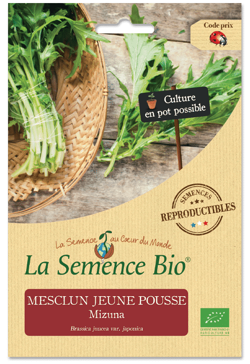 Graines Mesclun jeune pousse Mizuna Bio – La semence bio 1