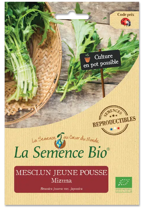 Graines Mesclun jeune pousse Mizuna Bio – La semence bio 1