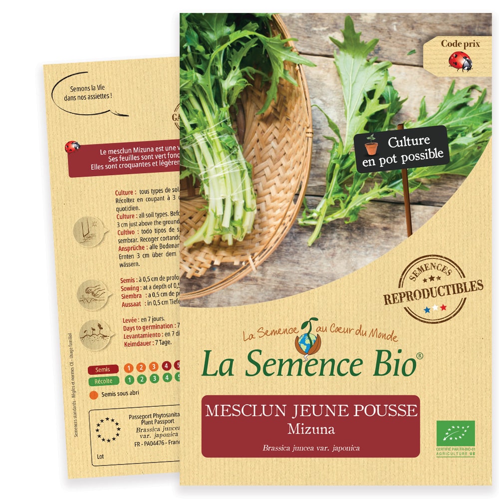 Graines Mesclun jeune pousse Mizuna Bio – La semence bio